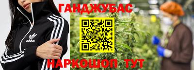 apvp Аша