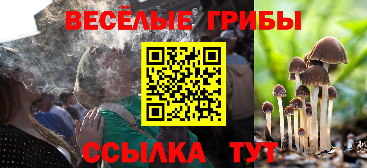 Галлюциногенные грибы прущие грибы  Вход с VPN  Кострома 
