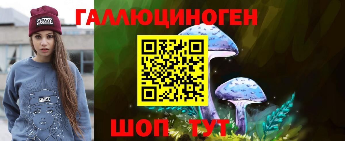 Псилоцибиновые грибы GOLDEN TEACHER Кострома